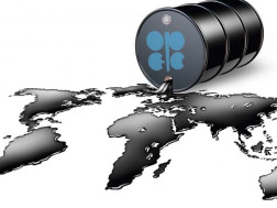 ნავთობი