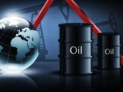 ნავთობი