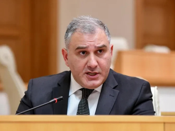 მიხეილ სარჯველაძე