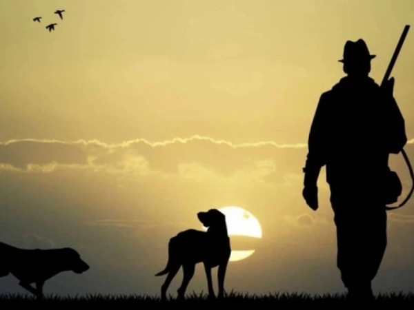 მონადირეობა 