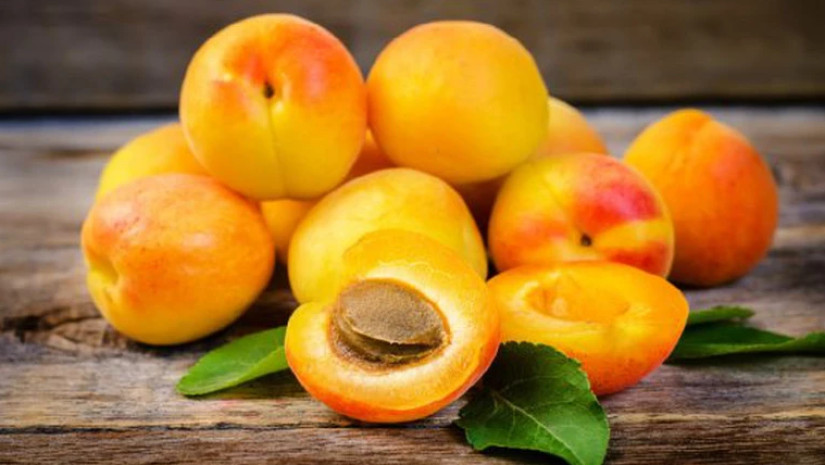 გარგარი