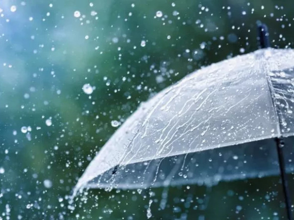 წვიმიანი ამინდი