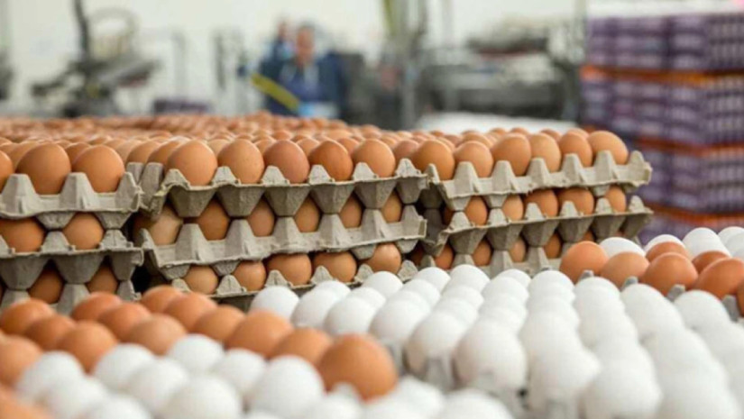 კვერცხი