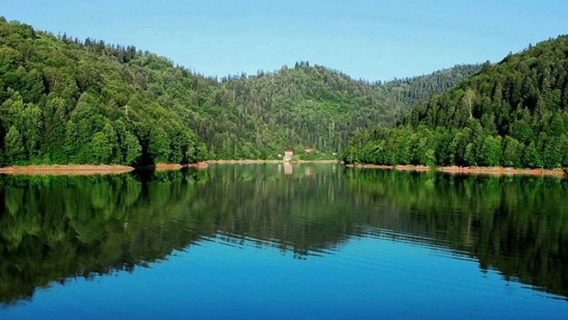 შაორი შაორი