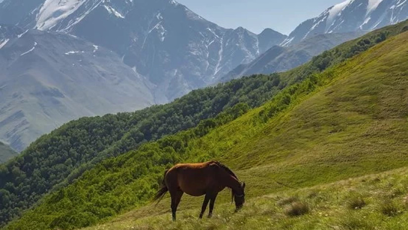 მთა