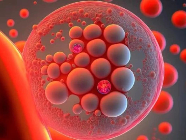 ღეროვანი უჯრედი