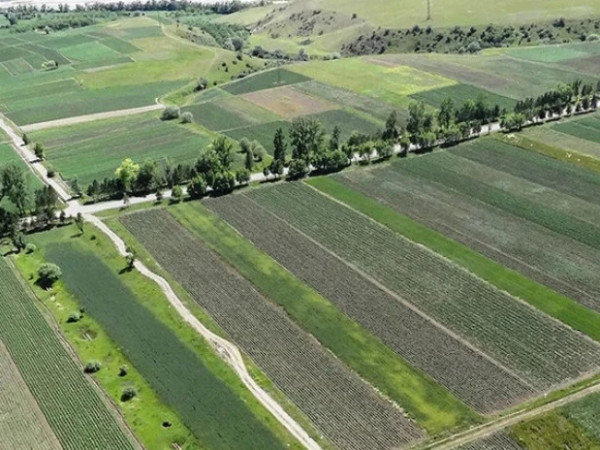 მიწის ნაკვეთები