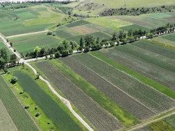 მიწის ნაკვეთები