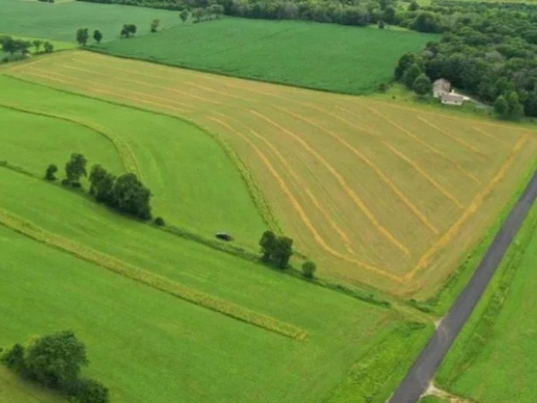 მიწის ნაკვეთები