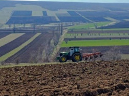 მიწის ნაკვეთი