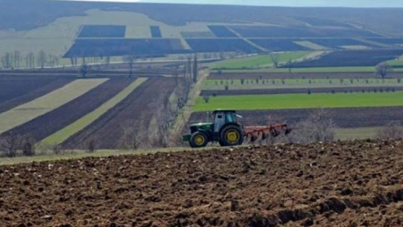 მიწის ნაკვეთი