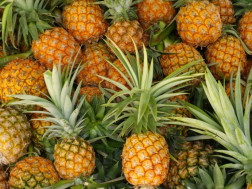 ანანასი