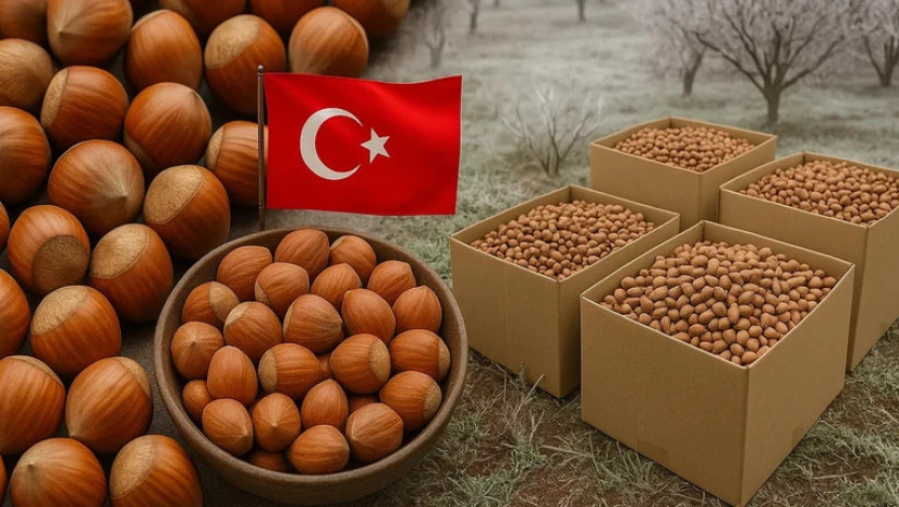 თხილი თხილი