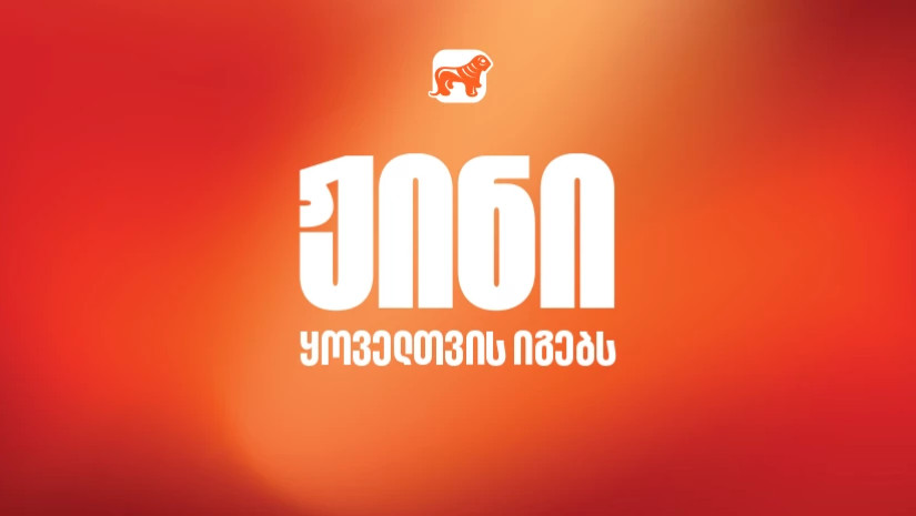 ჟინი