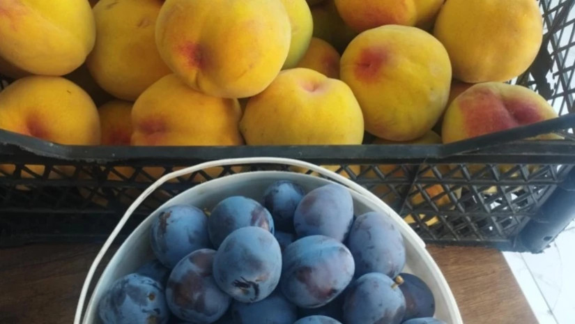 ატამი და ქლიავი