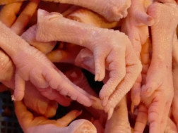 „როგორც ჩინეთიდან აქ შემოდის მხოლოდ ქათმის ფილე, ალბათ, ჩვენგან ჩინეთში გავა ფეხები, კისერი და ქათმის სხვა ნაწილები, რომელიც ჩვენთან ყველაზე დაბალ ფასად იყიდება“, - ამის შესახებ მეფრინველეობის განვითარების ასოციაციის ხელმძღვანელმა, ზურაბ უჩუმბეგაშვილმა „ბ