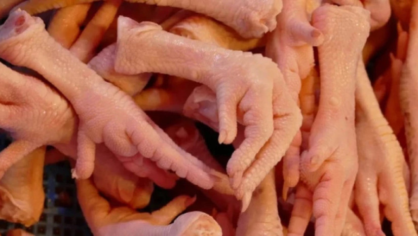 „როგორც ჩინეთიდან აქ შემოდის მხოლოდ ქათმის ფილე, ალბათ, ჩვენგან ჩინეთში გავა ფეხები, კისერი და ქათმის სხვა ნაწილები, რომელიც ჩვენთან ყველაზე დაბალ ფასად იყიდება“, - ამის შესახებ მეფრინველეობის განვითარების ასოციაციის ხელმძღვანელმა, ზურაბ უჩუმბეგაშვილმა „ბ