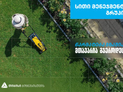 სითი მენეჯმენტ