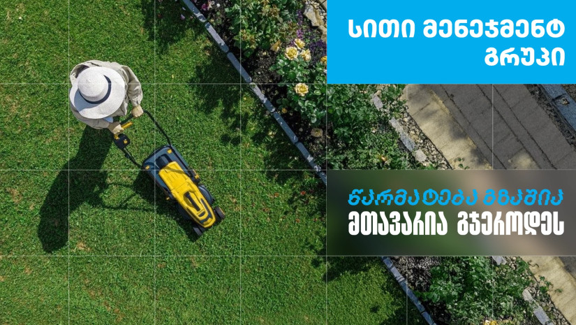 სითი მენეჯმენტ