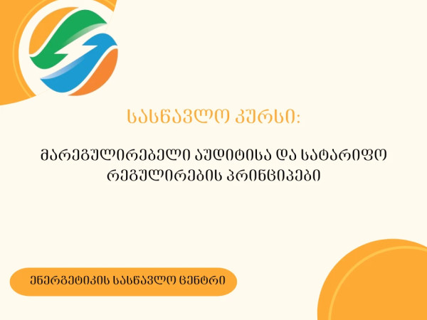 ენერგეტიკის სასწავლო ცენტრში მარეგულირებელი აუდიტის შესახებ სასწავლო კურსი მიმდინარეობს