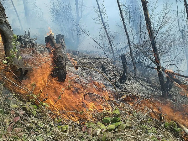 ხანძარი