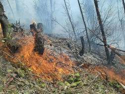ხანძარი