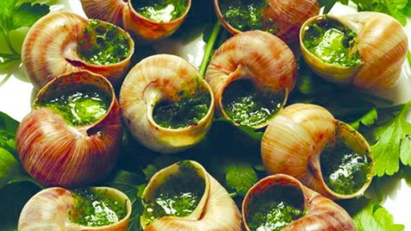 ლოკოკინა