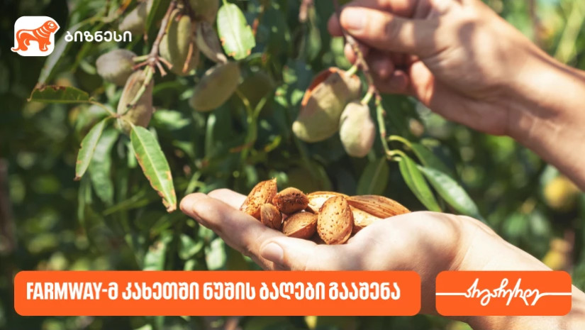  კომპანია Farmway-მ კახეთში ნუშის ბაღები გააშენა - მხარდამჭერი საქართველოს ბანკია