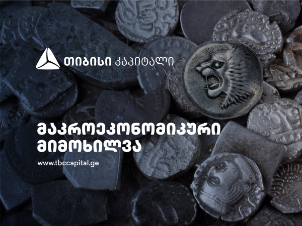 თიბისი კაპიტალმა ყოველთვიური მაკროეკონომიკური მიმოხილვა გამოაქვეყნა - ზრდა ნორმალიზდება, სავალუტო ბაზარზე კვლავ სიჭარბეა
