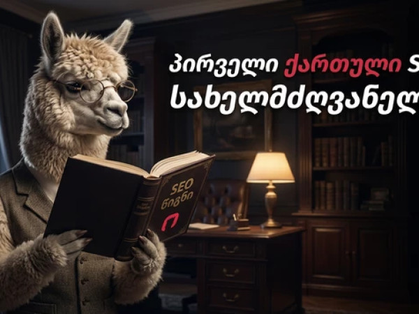 პირველი SEO სახელმძღვანელო ქართულ ენაზე – რას ისწავლით წიგნიდან?