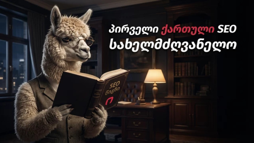 პირველი SEO სახელმძღვანელო ქართულ ენაზე – რას ისწავლით წიგნიდან?