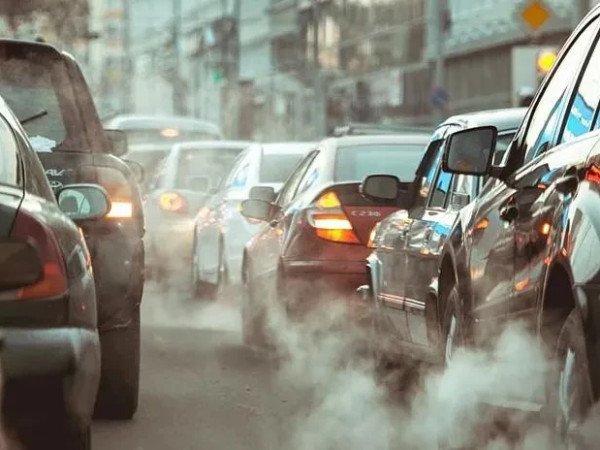 მძღოლები