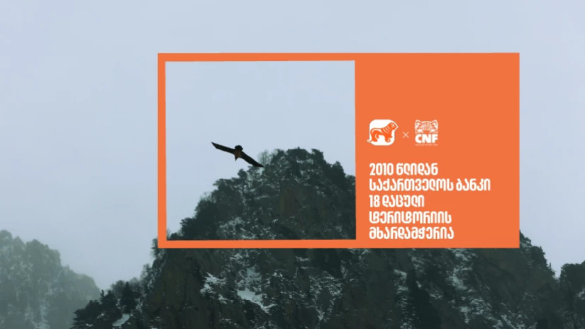 საქართველოს ბანკი 2010 წლიდან  18 დაცული ტერიტორიის მხარდამჭერია