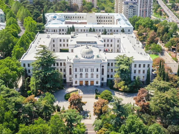 თბილისის სახელმწიფო უნივერსიტეტი
