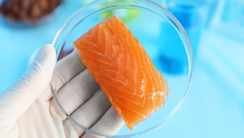 ლაბორატორია