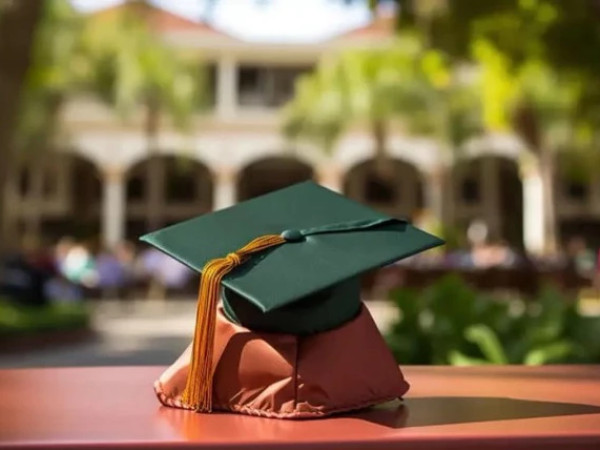 უნივერსიტეტი