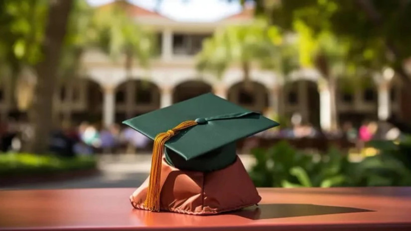 უნივერსიტეტი