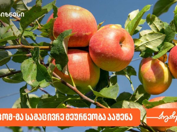  საქართველოს ბანკის მხარდაჭერით, შპს პომ-მა სამაცივრე მეურნეობა ააშენა