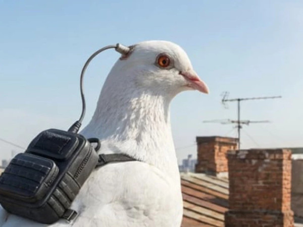 ბიოდრონები 