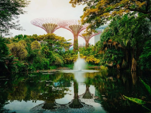 მწვანე ქალაქი