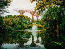 მწვანე ქალაქი მწვანე ქალაქი