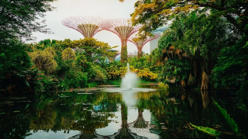 მწვანე ქალაქი