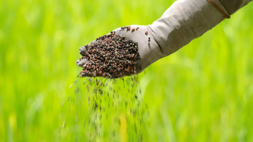 სასუქები