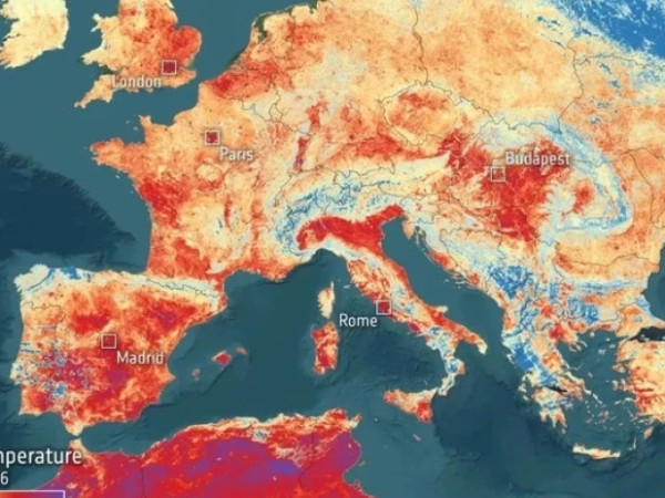 სიცხე