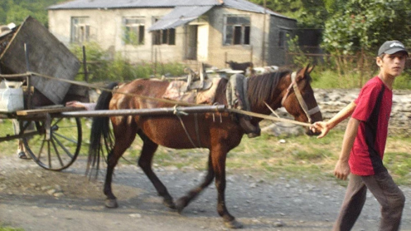 სოფელისოფელი
